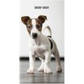 Rediform 6.5 x 3.5 in. Dog Cover 18-month Pocket Planner Book REDCA41202